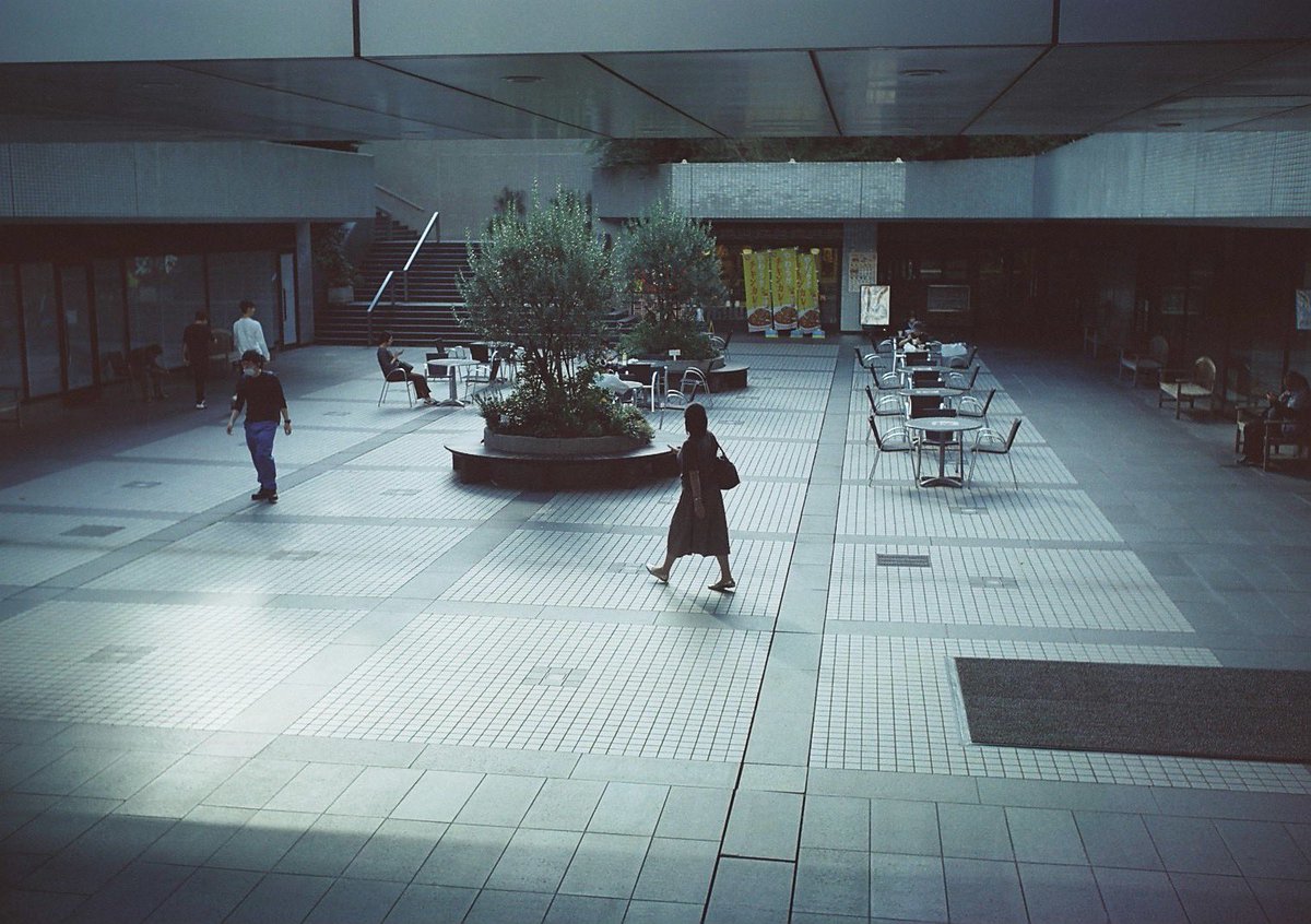 xtd1g9ma2yo4's tweet image. MARIX 100D
#film #カメスズ #MARIX #polar #solaron 
#７枚玉 #shinjuku #tokyo #japan