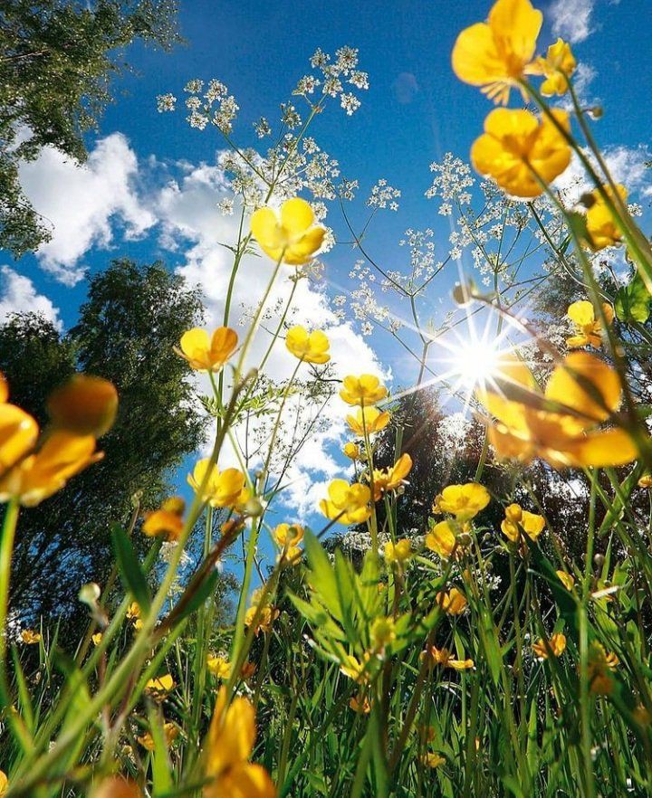 Good Afternoon buddy's 
How are you 💗