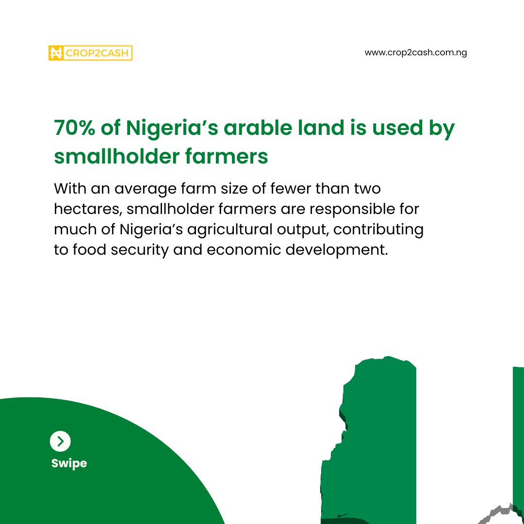 Crop2Cash's tweet photo. Smallholder farmers are using technology for better yields and incomes. Crop2Cash leads this revolution with its USSD platform to access financial services and market easily, and the National Hotline for Agriculture which you can call for free farming expert advice in your local language.
Dial *347*46*3# Or call +234(0)8001235077 to get started Today.