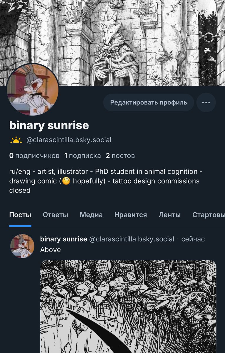 binary sunrise tweet media
