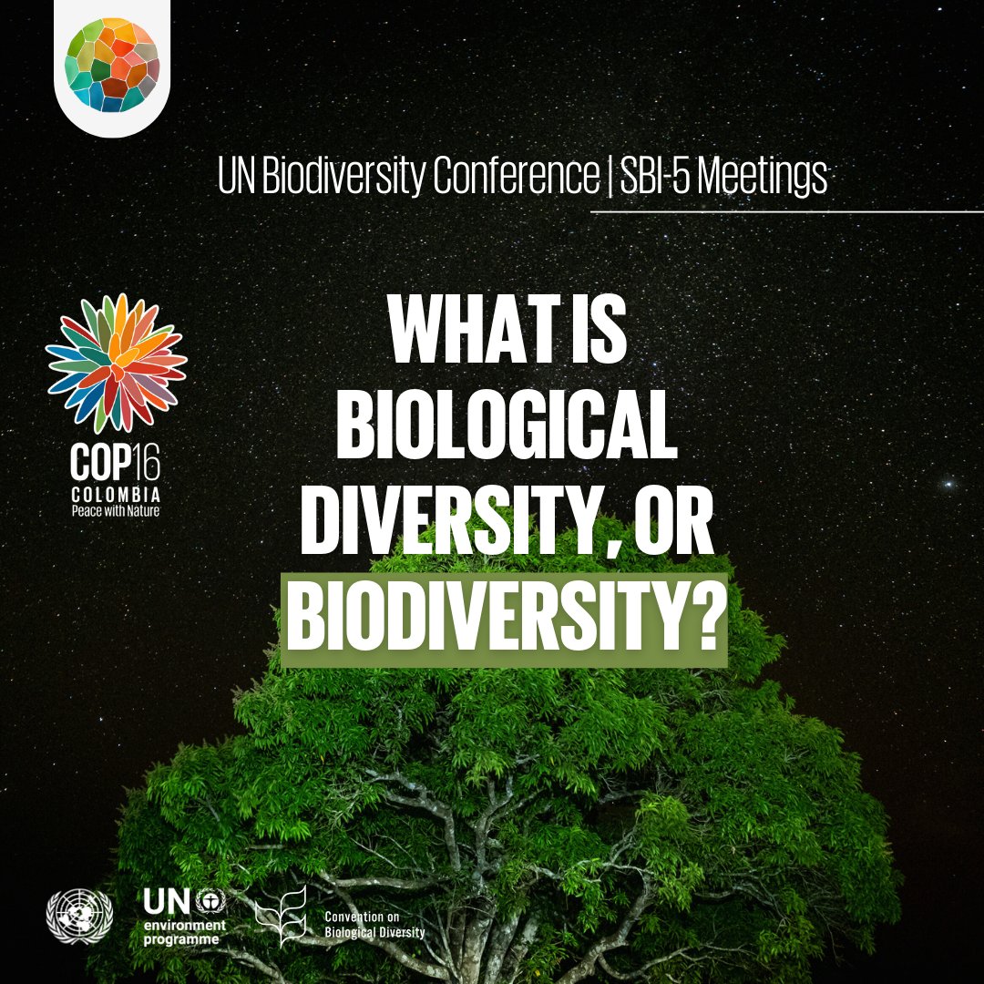UNEP's tweet photo. From the air we breathe to the water we drink to the soil that grows our food – humanity’s health depends on nature &amp; biodiversity.

On Monday, Cali will welcome nations at @UNBiodiversity #COP16Colombia to advance the goals and targets of the Global Biodiversity Framework.