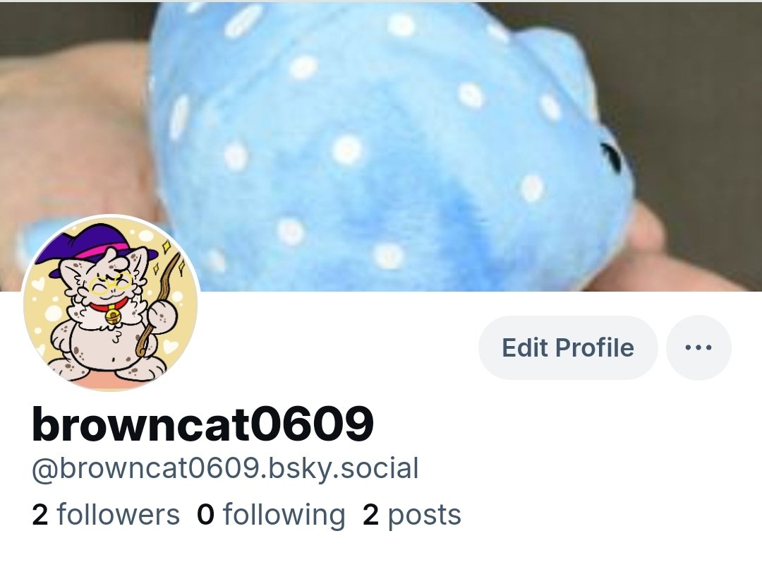 Kittycat tweet media