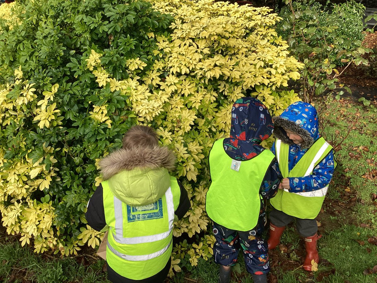 Salisbury Road Primary tweet media