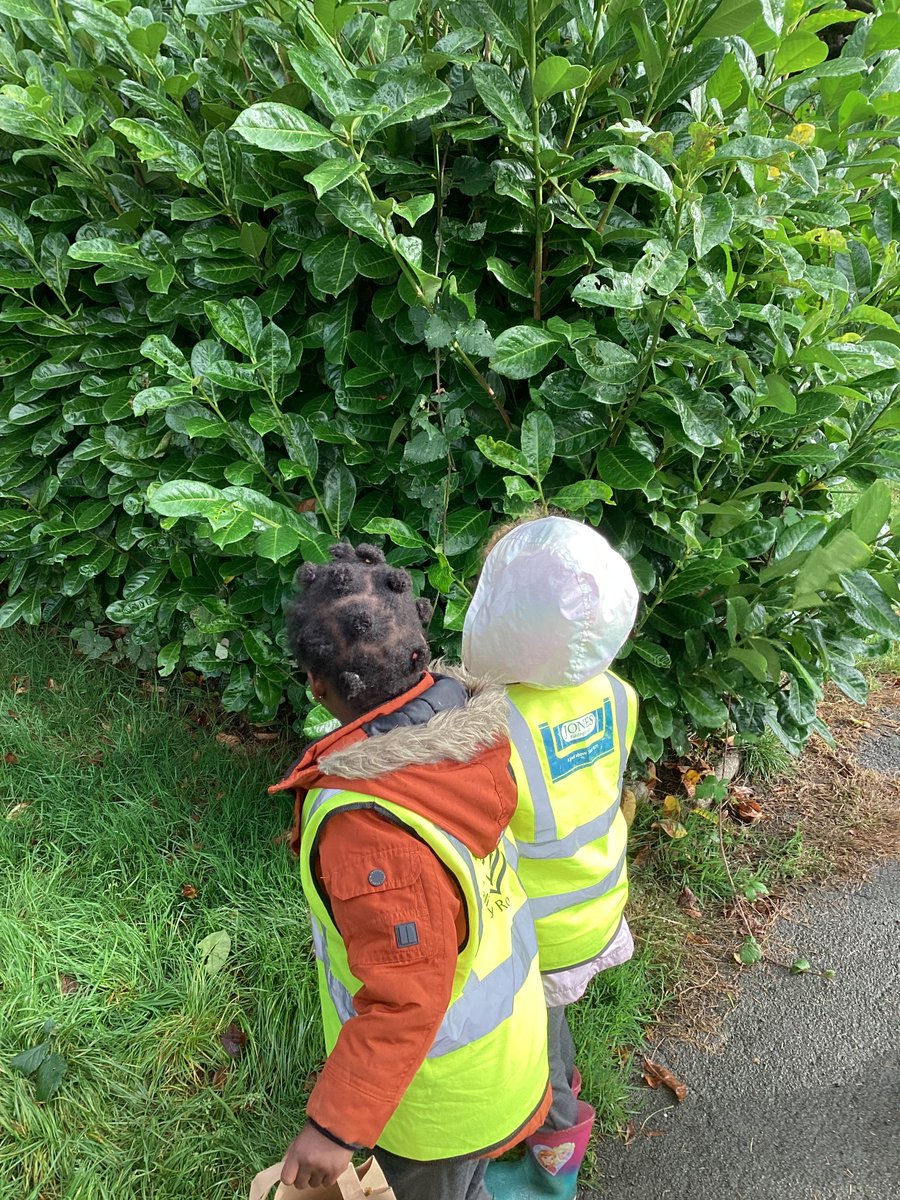 Salisbury Road Primary tweet media