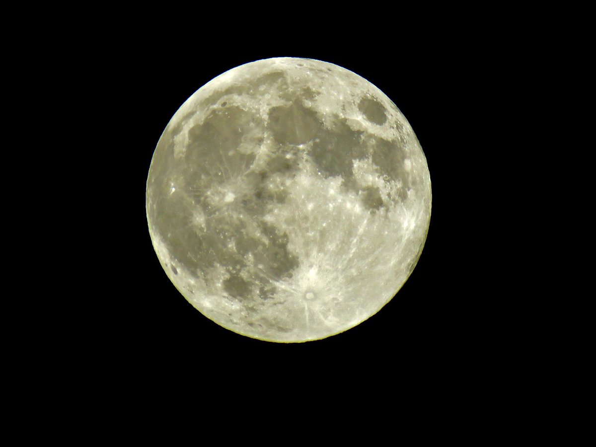 тэсэхгүй хэд дарлаа арайл гоёимаа