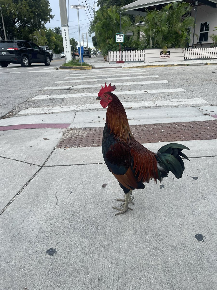 UrbanFoodFocus's tweet photo. Best conversation I have about politics recently was with this guy.

He just gets it. https://t.co/ezXyyLXaWh
