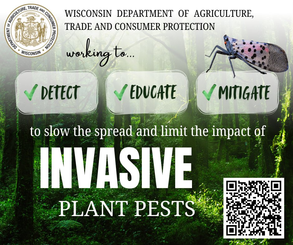 UMISC2024's tweet image. DATCP is focused on early detection efforts to slow the spread and limit the impacts of invasive plant pests on WI’s environmental and agricultural resources. We use surveys, inspections, quarantines, and certification programs to get the job done. Use the QR code to learn more.