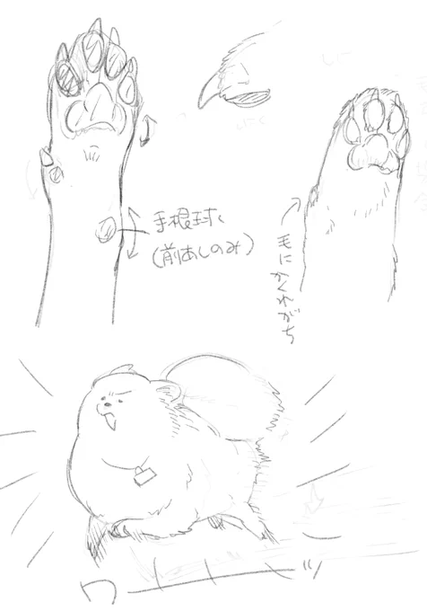 犬練 