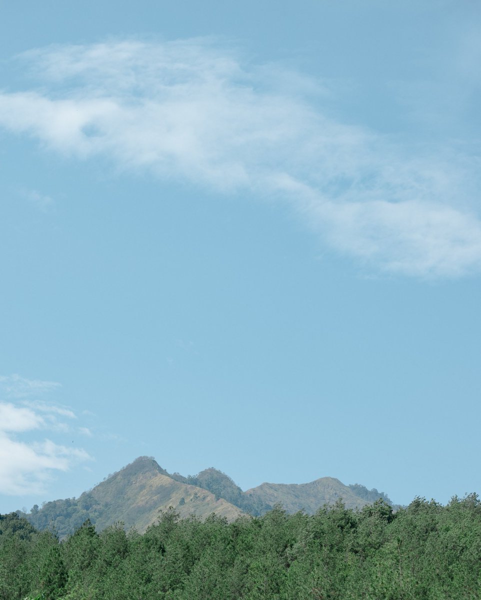 hararawindra's tweet photo. Let the sun guide your path and the mountain inspire your soul.
🖼️ Gunung Sangar
#muntain #nature #gunungsangar https://t.co/SjI3BbUKxh
