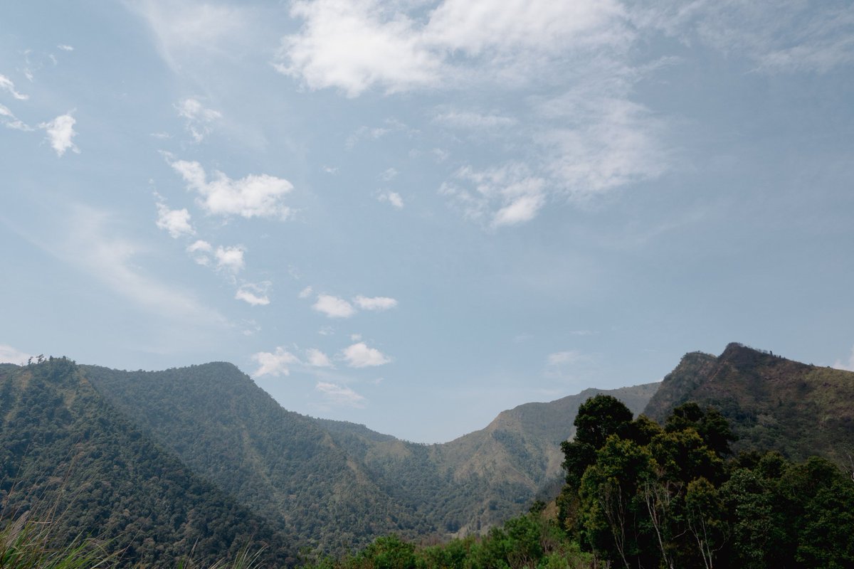hararawindra's tweet photo. Let the sun guide your path and the mountain inspire your soul.
🖼️ Gunung Sangar
#muntain #nature #gunungsangar https://t.co/SjI3BbUKxh