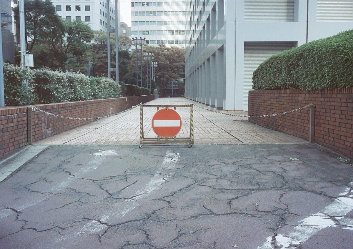 xtd1g9ma2yo4's tweet image. MARIX 100D
#film #カメスズ #MARIX #polar #solaron
#７枚玉 #shinjuku #tokyo #japan