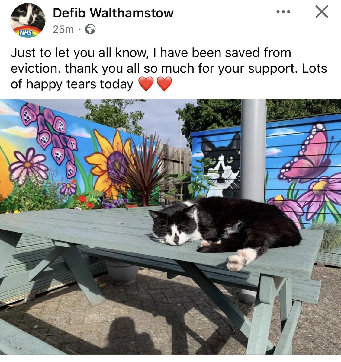 David_OToole's tweet photo. The people have spoken 😻 https://t.co/QGxh32WKXq