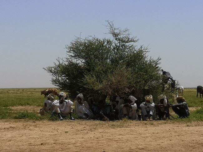 Sahara Conservation tweet media