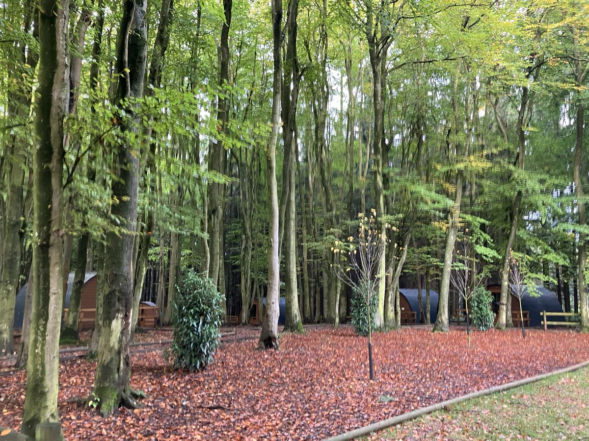 Finham Sports (@finhamsports) on Twitter photo Yr 6 residential - we have arrived in Oakerwood. The children are getting their briefing and shown around before lunch then activities. Exciting times ahead. Have a great day all, Mr Tickle <a href="/FinhamPrimary/">Finham Primary</a> Yr 6 residential - we have arrived in Oakerwood. The children are getting their briefing and shown around before lunch then activities. Exciting times ahead. Have a great day all, Mr Tickle <a href="/FinhamPrimary/">Finham Primary</a>