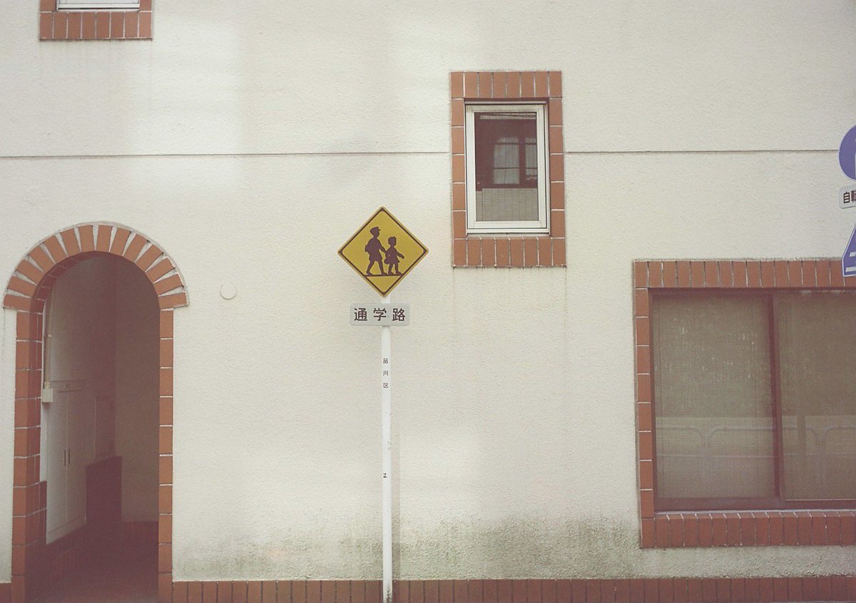 xtd1g9ma2yo4's tweet image. MARIX 100D
#film #カメスズ #MARIX #polar #solaron
#７枚玉 #Ōimachi #tokyo #japan