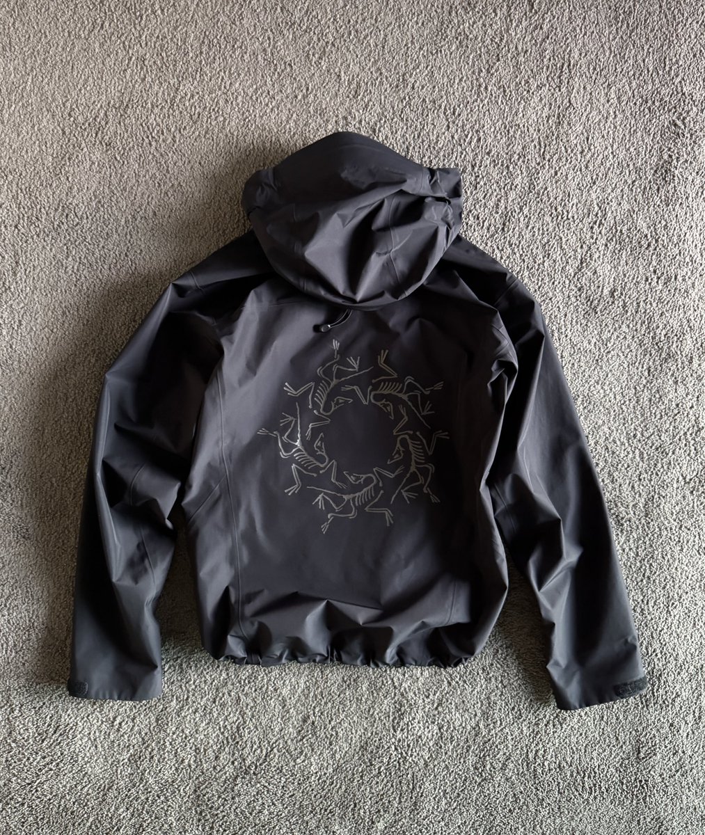 990style's tweet photo. ARC’TERYX Beta LT Solarium https://t.co/iIgSnoQu0t
