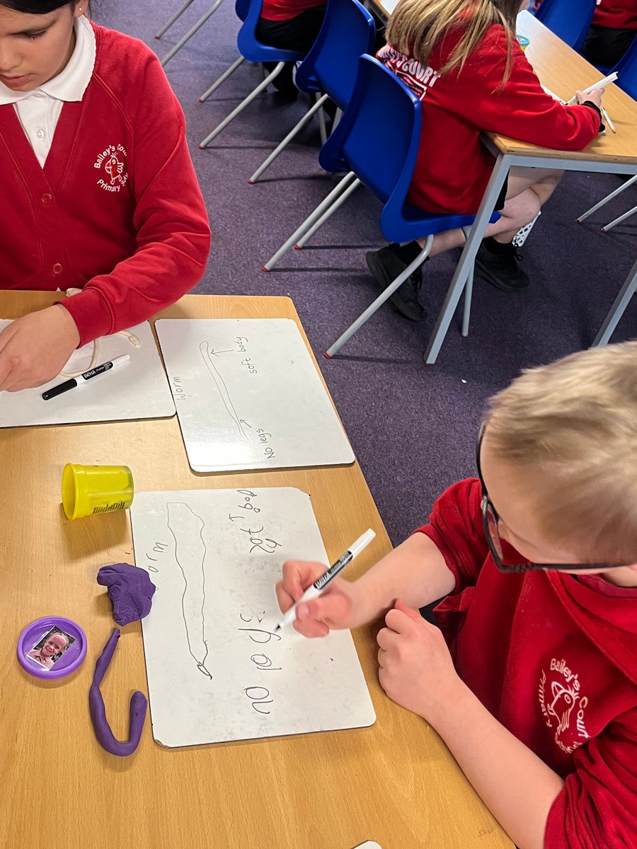 BaileysPrimary's tweet photo. Year 6 have loved learning about invertebrates. https://t.co/8LF1NcJDl6