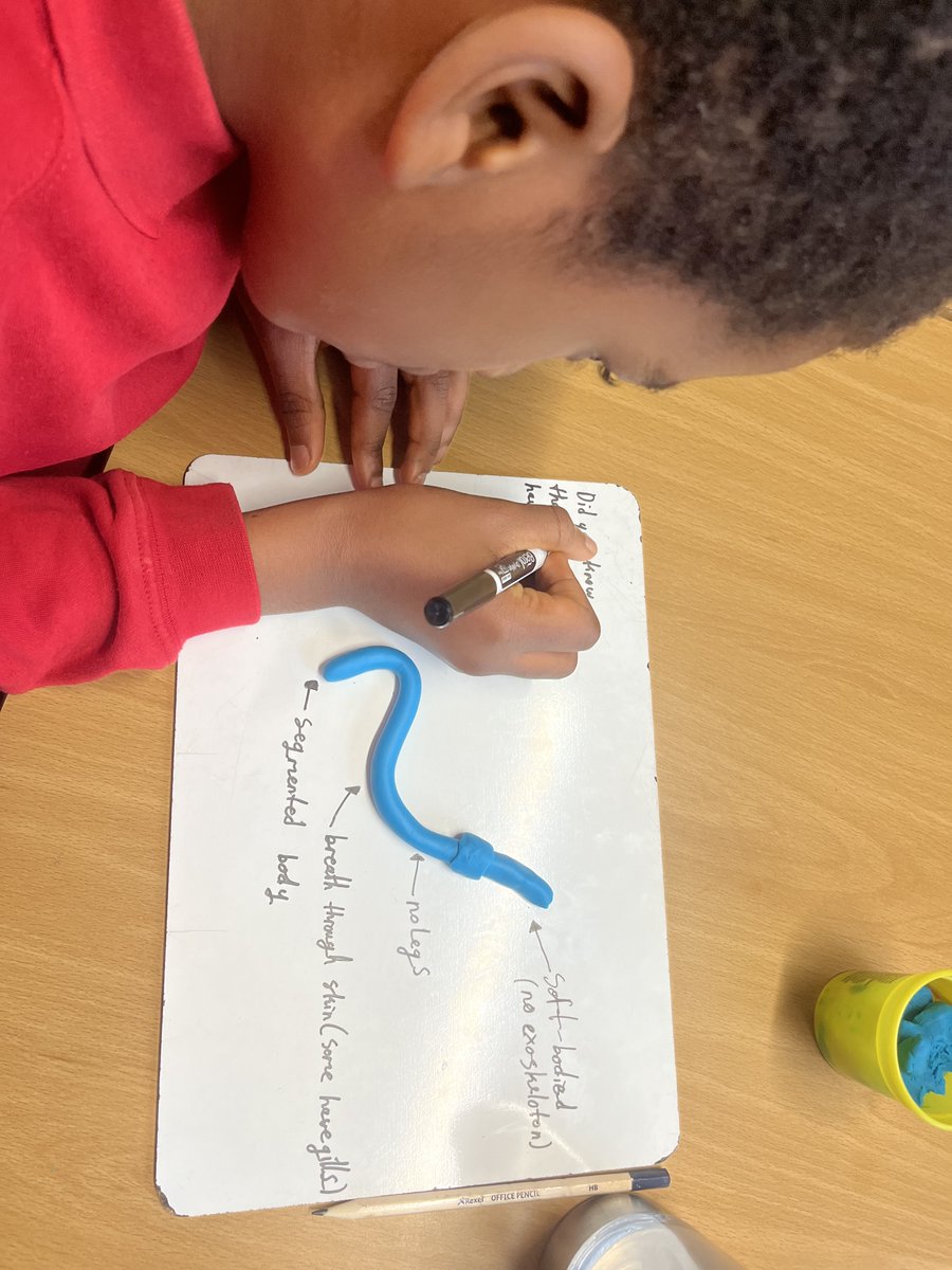 BaileysPrimary's tweet photo. Year 6 have loved learning about invertebrates. https://t.co/8LF1NcJDl6