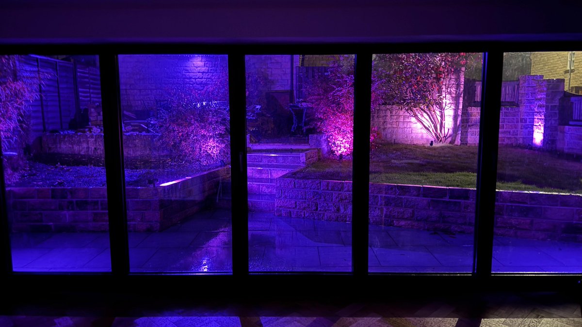 Also been practising purple lights in our garden in prep for #DLDDay! 😂🥳. <a href="/RADLDcam/">RADLDcampaign</a> <a href="/NAPLIC/">NAPLIC</a>