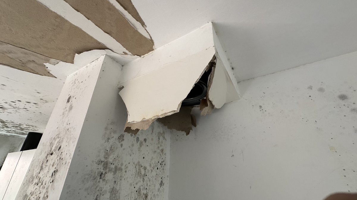 Fatine - @fatine.bsky.social tweet media