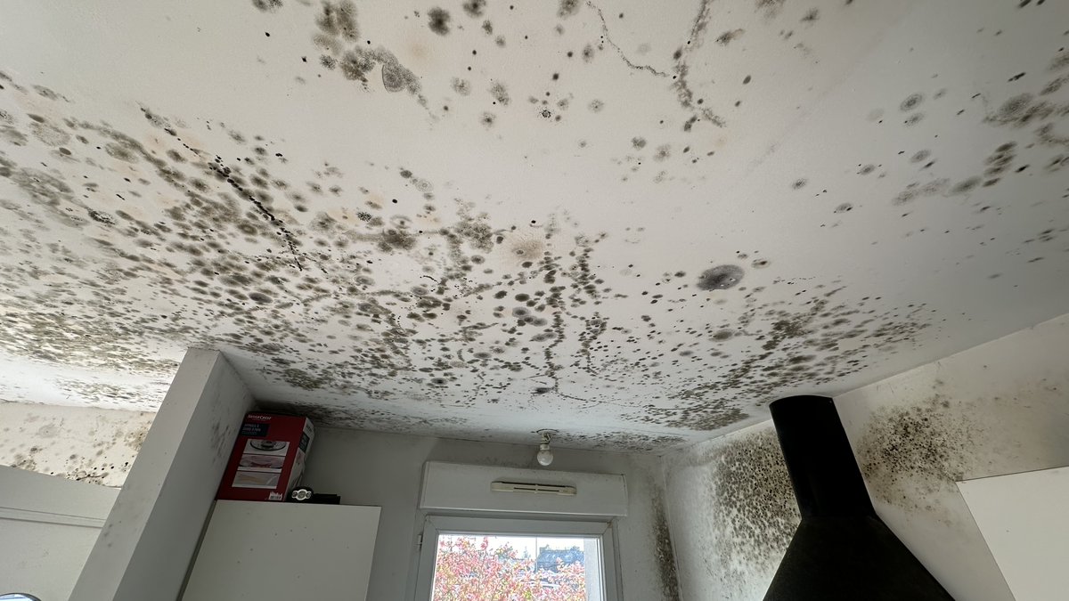 Fatine - @fatine.bsky.social tweet media