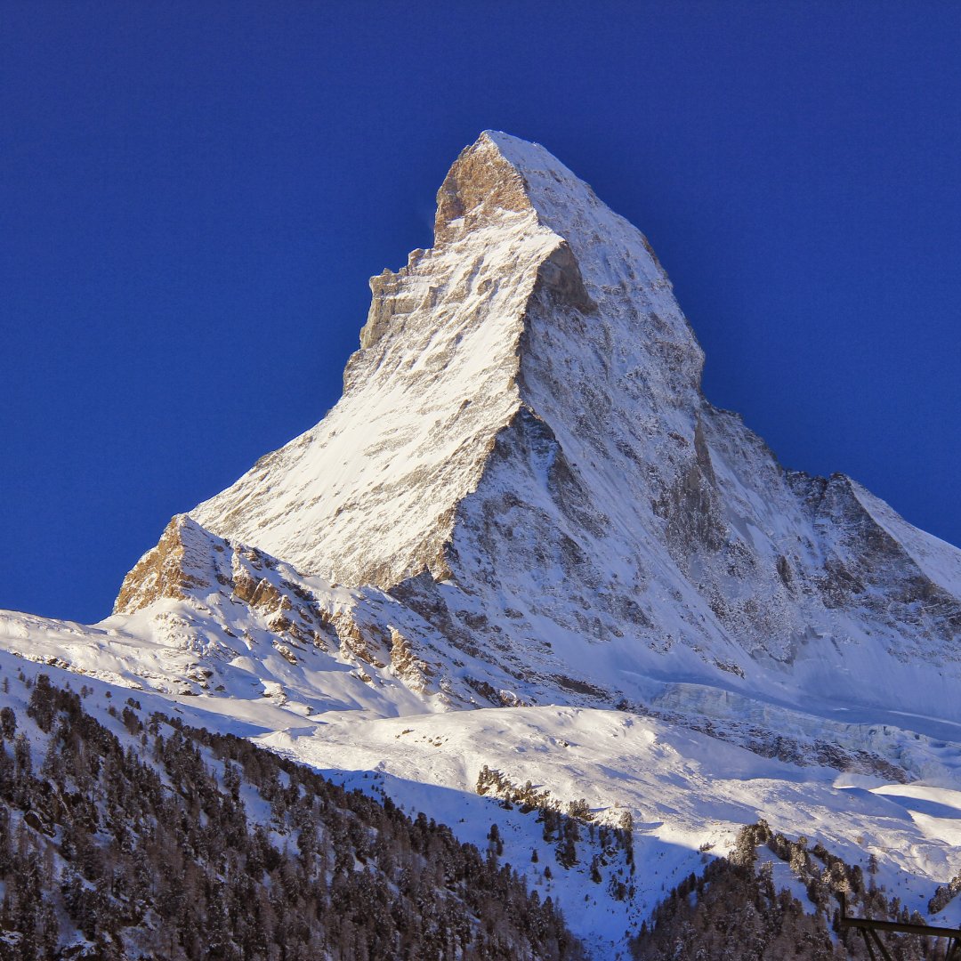 steel_pa's tweet image. Did you know? The first steel roller coaster was Disney's Matterhorn Bobsled Ride, inspired by the Matterhorn mountain in the Swiss Alps and opened in 1959 at Disneyland in Anaheim, California.

#pasteel #funfactoftheday #steelindustry #amusementrides