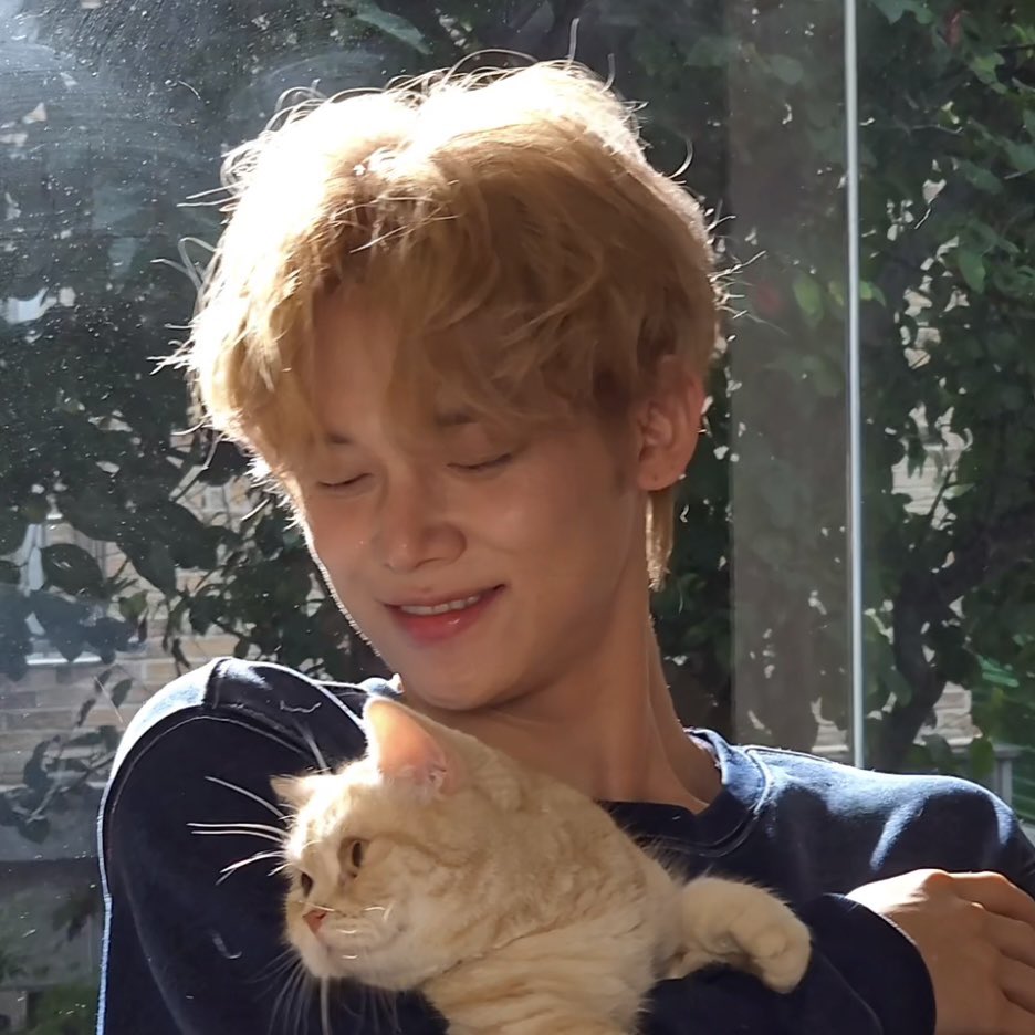 archivezzn's tweet photo. kitty https://t.co/j1yPDcsf8E