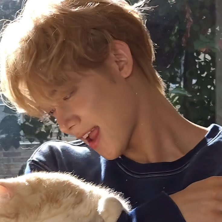 archivezzn's tweet photo. kitty https://t.co/j1yPDcsf8E