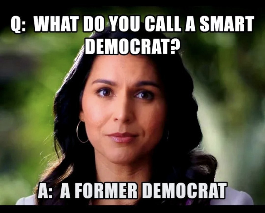 CarlBotha2's tweet photo. @DefiyantlyFree @Lizbear63 @POTUS @VP have put @TulsiGabbard on the terrorists watch list, a veteran and still serving, an ex congressman and @TheDemocrats! @realDonaldTrump @JDVance @RobertKennedyJr @elonmusk @VivekGRamaswamy @BretBaier @DonaldJTrumpJr https://t.co/aoZfW5qI8Y