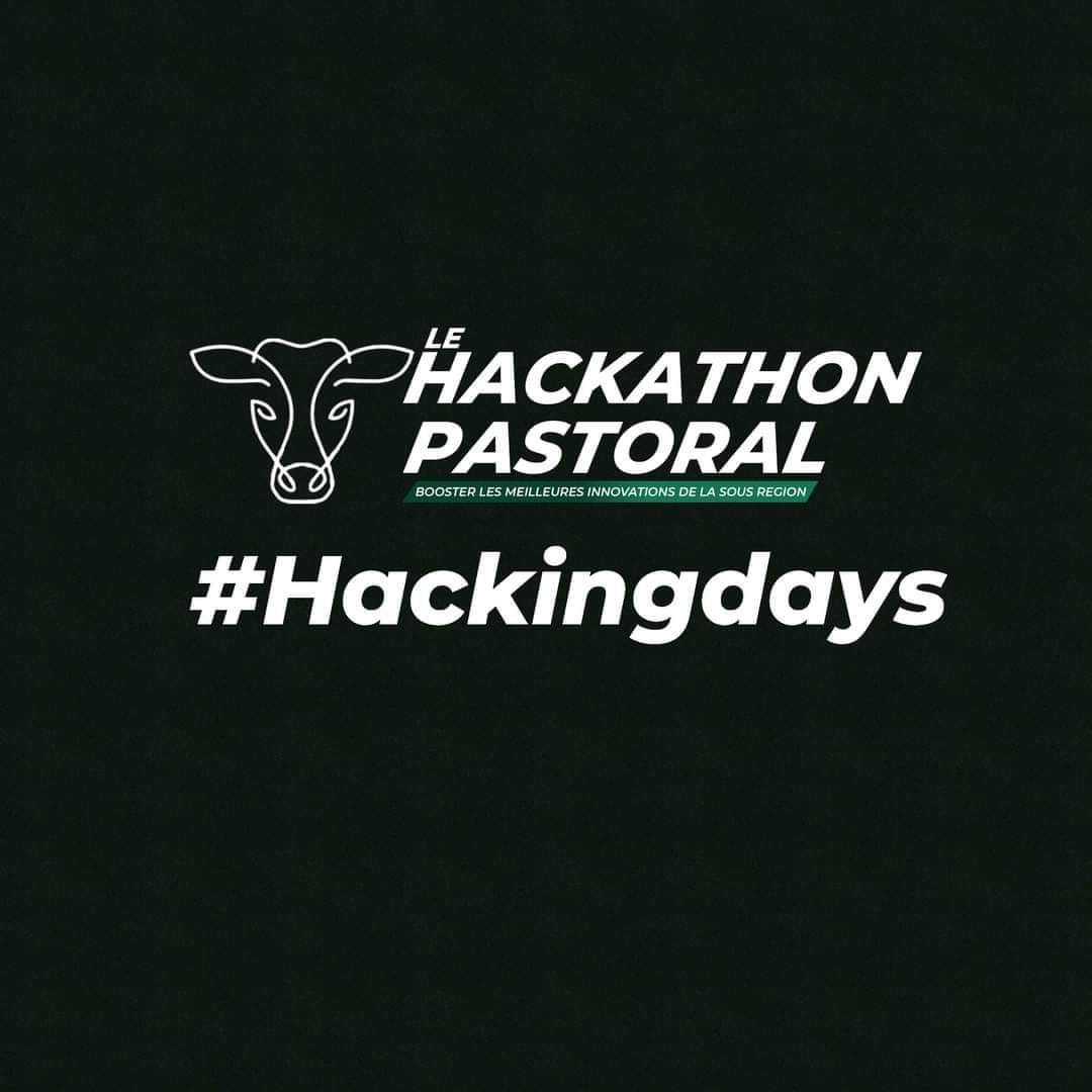 rbm_maroobe's tweet photo. Prochaine étape 👉🏼 les #HackingDays ! Une opportunité pour innover en faveur du pastoralisme durable. Ça sera l'occasion pour les candidats sélectionnés de concevoir des solutions concrètes et adaptées aux réalités du terrain. Plus d'infos ici : https://t.co/OMRr9JTrsr https://t.co/1K9sLnCSUE