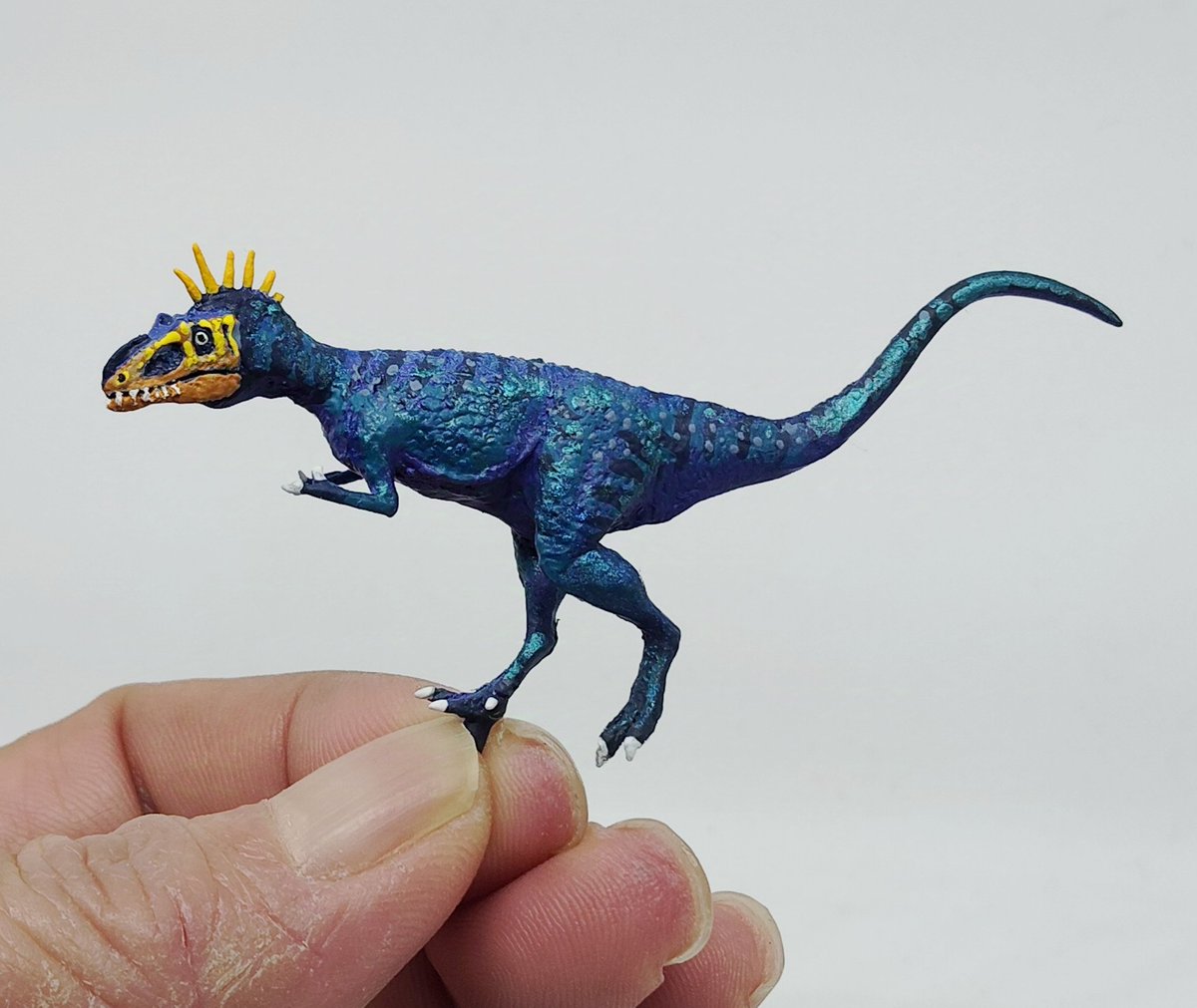 dizzy_SY's tweet photo. ティラノサウルスのなかま、アパラチオサウルス1/100を造りました。アメリカ　アラバマ州産出、カンパニアン中期の（後に出現するティラノサウルス等より）華奢な感じに見える恐竜です。 https://t.co/No1GIkrhW0