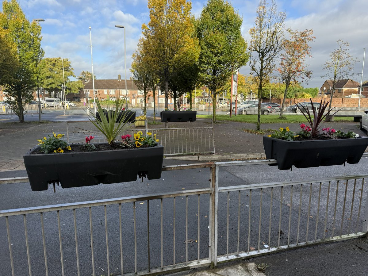 harrydoyle96's tweet photo. Lovely winter bedding put in around Dovecot Parade… More planters to come too 👀 🌷 🌺 #MakeDovecotCleanAgain #DovecotInBloom https://t.co/OA63QwJKpN