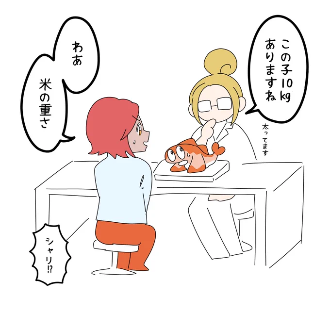 ふつうよりちょっと重かったシャリタツ 