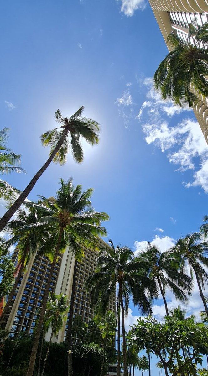 LabourProject's tweet photo. ✨Exciting news from our project team!
 
Dr. Zoran Pavlovic and Ana Kuprešanin recently participated in the #PRiME Conference in Honolulu🌴, with a poster titled "Electrochemical Detection of DNA in Agriculture Using LAMP-Based Amplification".

#fondzanauku #zeleniprogram🌱#GMO https://t.co/dtED1kWB8D
