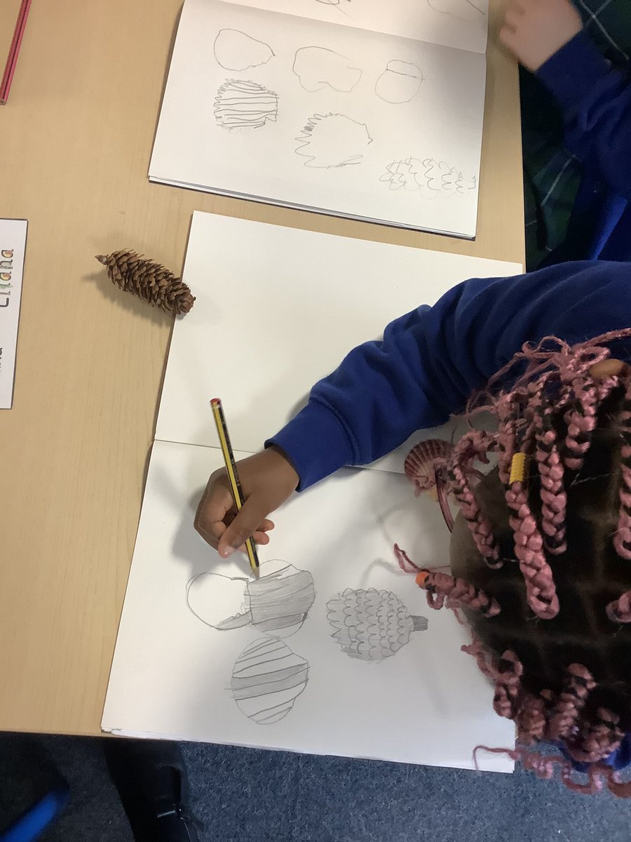 1B_stjohns's tweet photo. Look at our fantastic sketching of natural objects! We are working on using different lines and shading ✏️ https://t.co/gvtzNPhJSi