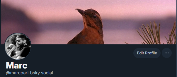 With the recent changes this site is (even more) unusable. So if people is moving to ✨the other site✨, I'm there too 💀