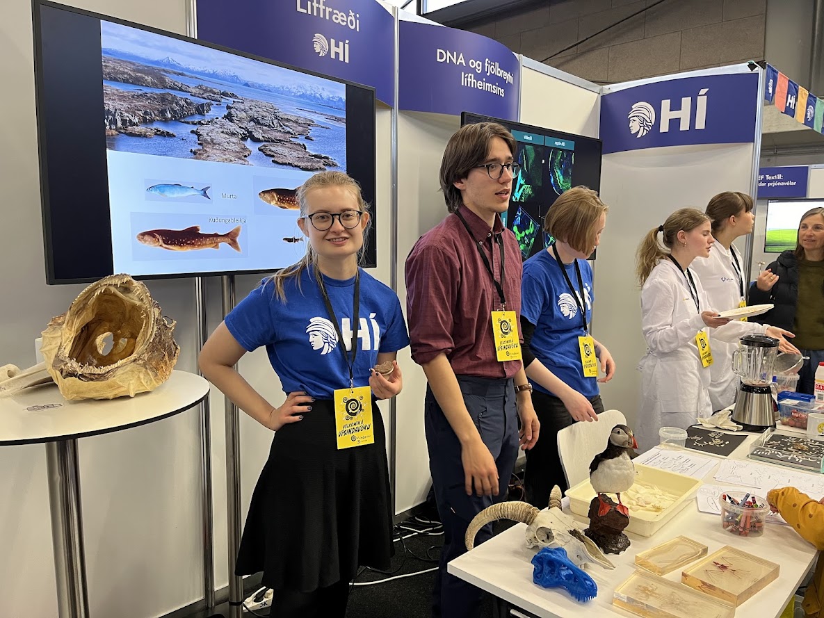 IceFish Research tweet media