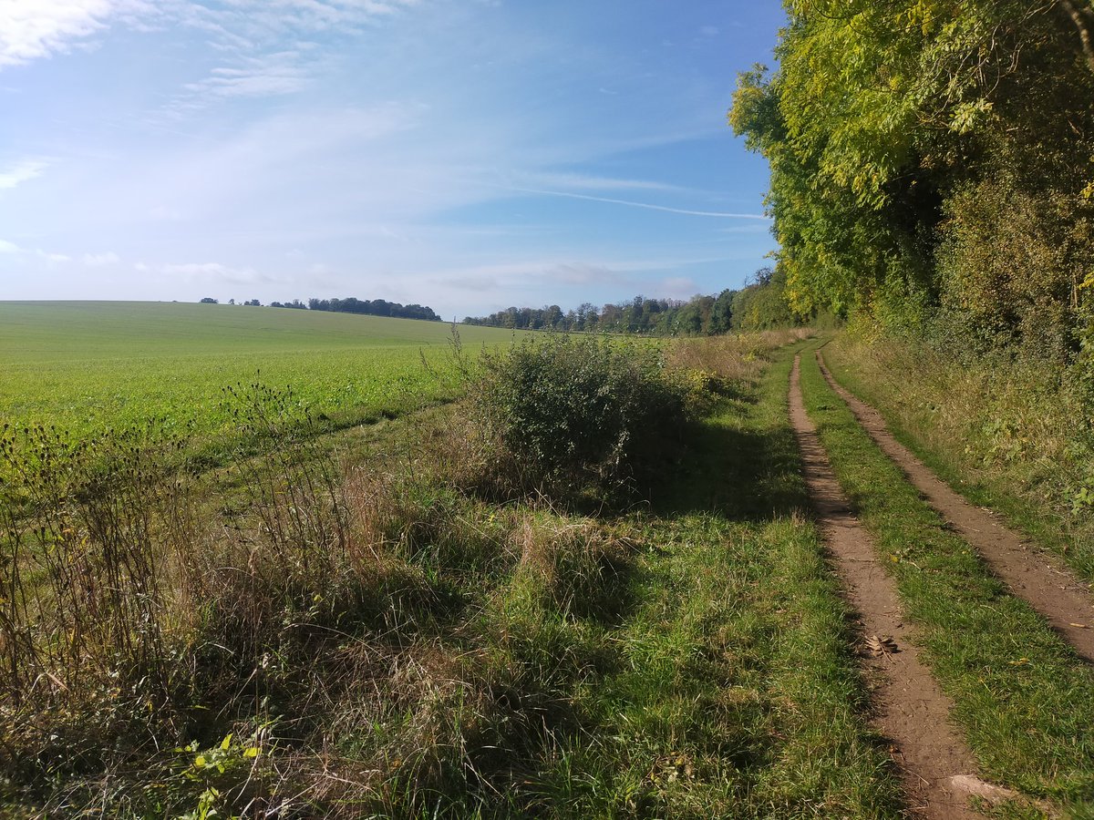 sburdett22's tweet photo. New term, new digs, new sights, new running routes! @Cambridge_Uni #StJohnsChapel #Michealmas #Babraham #RomanRoad #OctoberSun https://t.co/gAKbk1oQJN