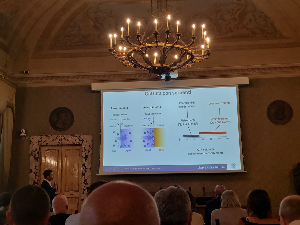 PRIN_doMino tweet media