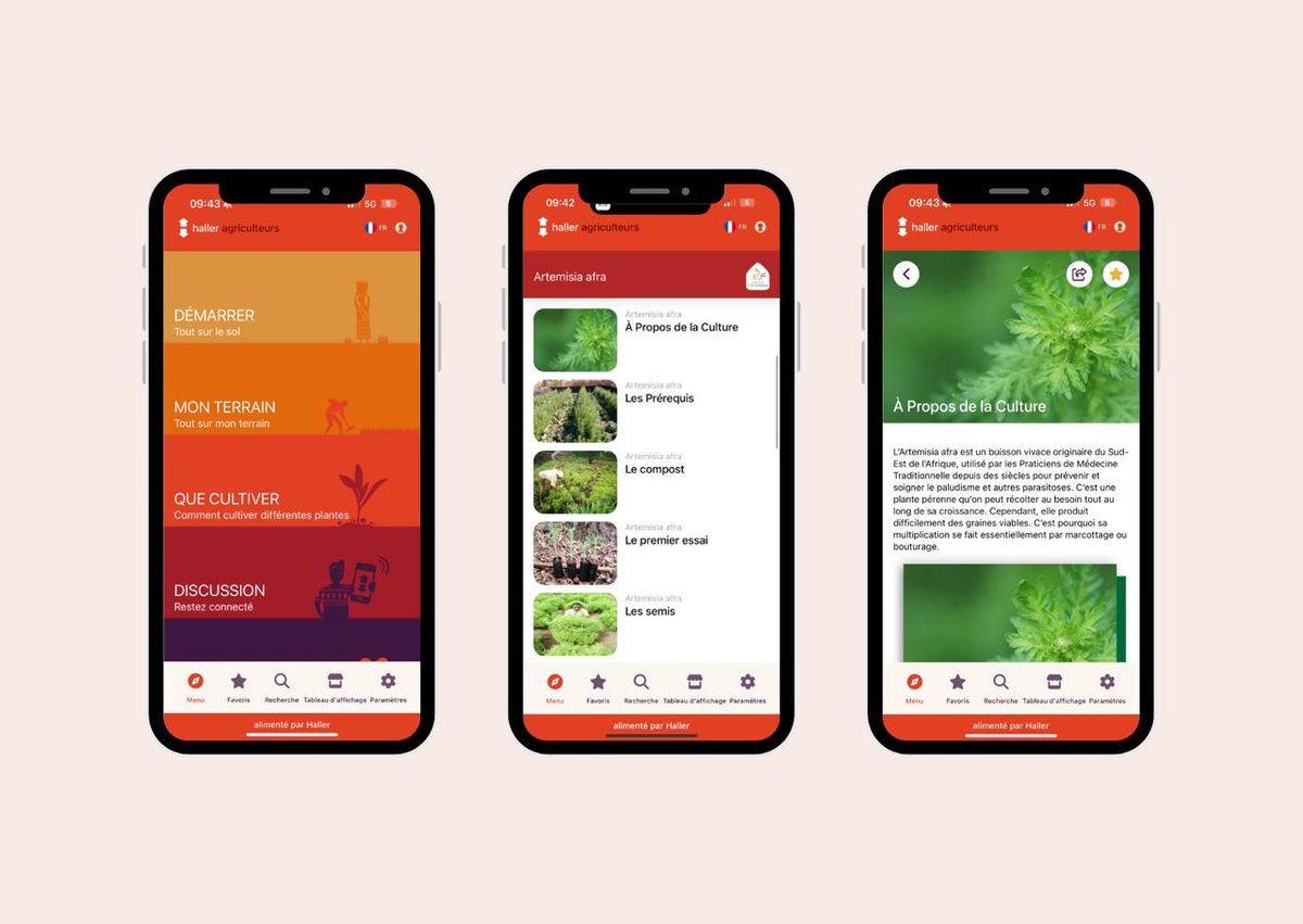 Grande nouvelle, l’application Haller Farmers désormais disponible en langue française : des connaissances sur la culture des plantes locales ainsi que des informations sur les techniques traditionnelles, innovantes et respectueuses de l’environnement.
#Artemisia #agroécologie