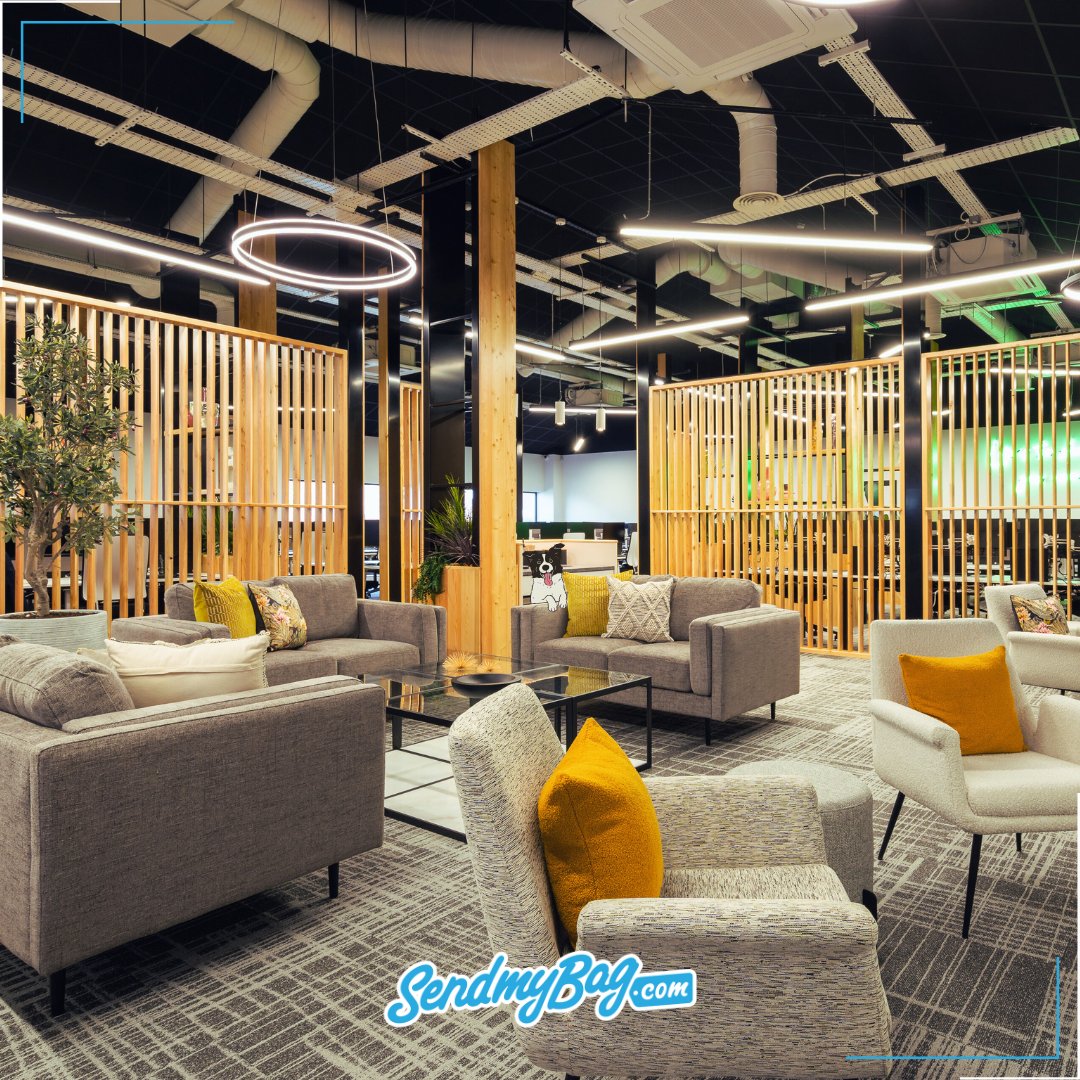 sendmybag's tweet image. Charlie's hiding somewhere in the office, can you find him? 👀

#SendMyBag #FindTheDog #HideandSeek #DogsofTwitter #Dog #Office