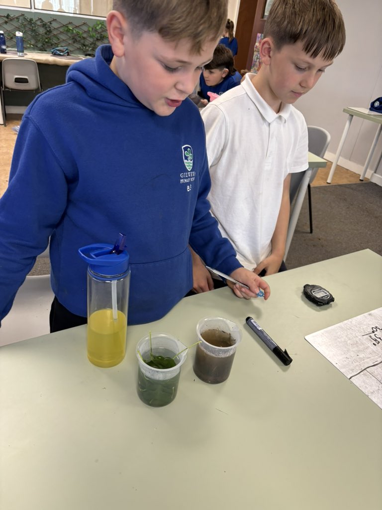#GilwernYear5P have been learning to communicate their findings in response to the question, ‘what natural material is best to keep animals warm during the winter?’ #SciTech #OutdoorLearning