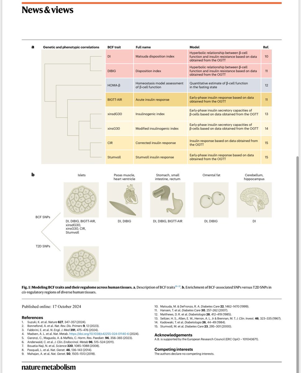 Our News &amp; Views in <a href="/NatMetabolism/">Nature Metabolism</a> about Prof T Hansen s paper on the genetics of glycemic control post glucose load. New progress in insulin secreting cell’s function indeed ! <a href="/JuleenRZierath/">Juleen R. Zierath</a>