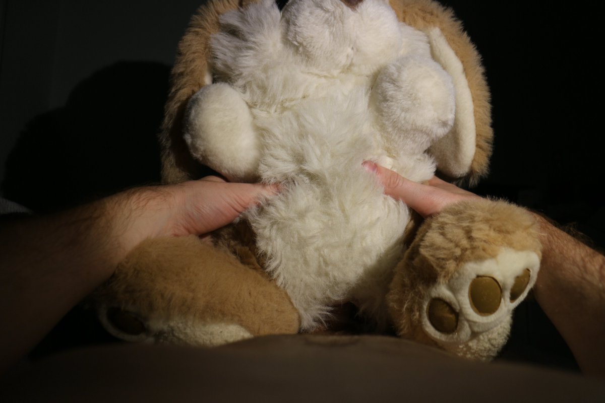 FriskyRedPanda's tweet photo. POV: fluffy bunny tummy https://t.co/dtiIeNegxd