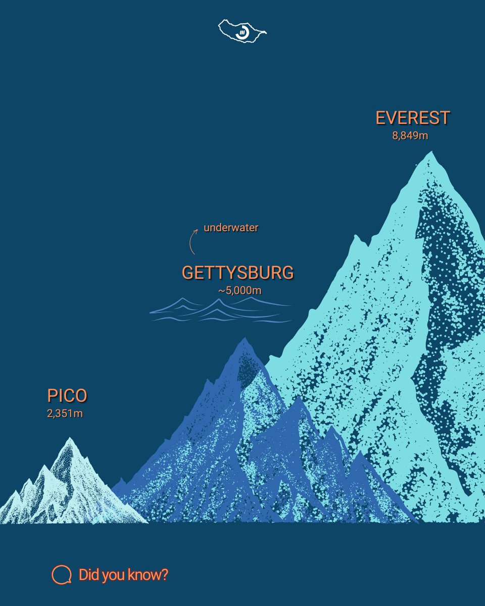 Have you climbed Pico? Think you’ve climbed the highest mountain in Portugal? 

The Gorringe Seamount rises from 5,000m below sea level. Two of its peaks rise to ~ 25m and 45m below sea level, making them the tallest mountains in Portugal! (Good luck climbing them, though…)