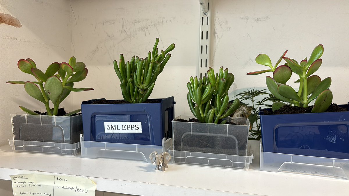 <a href="/StarlabUKLtd/">Starlab</a> Thanks for adding beauty to my office with your sweet plant saplings! Also..it’s a great idea to reuse the empty tip boxes for sustainability! Happy plants from John Innes! Good work.. great products… Keep going!