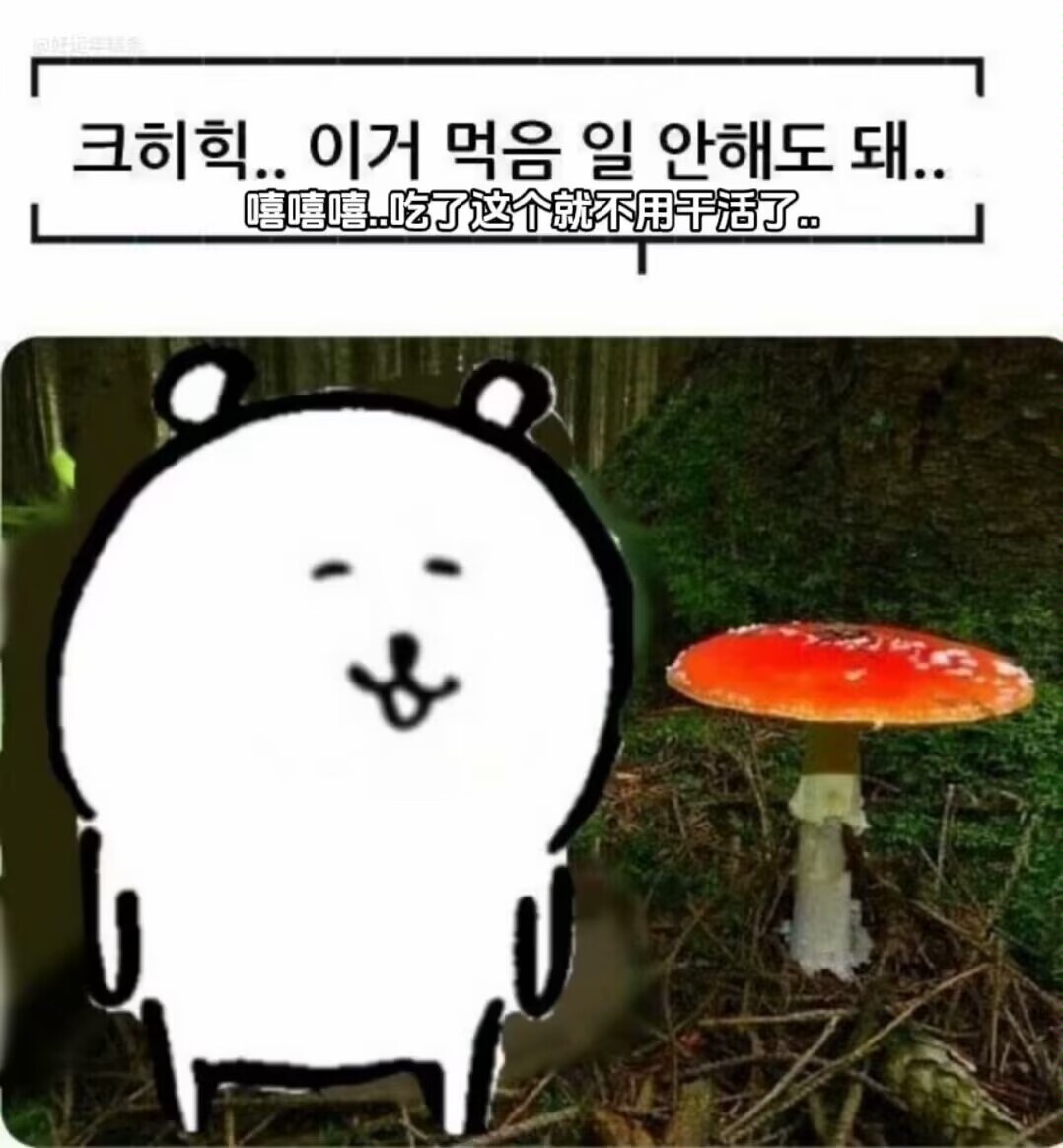 无声哀悼 (@shenanhai) on Twitter photo 