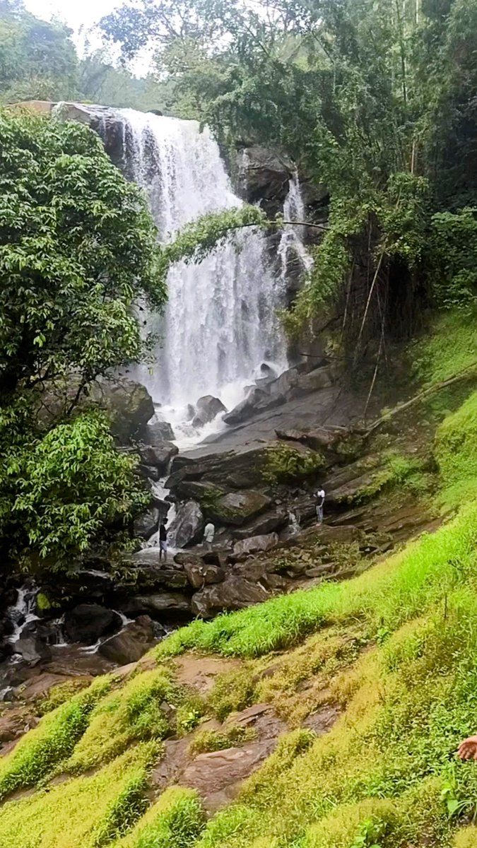 SharpSathish1's tweet image. Hidden Waterfalls 😇