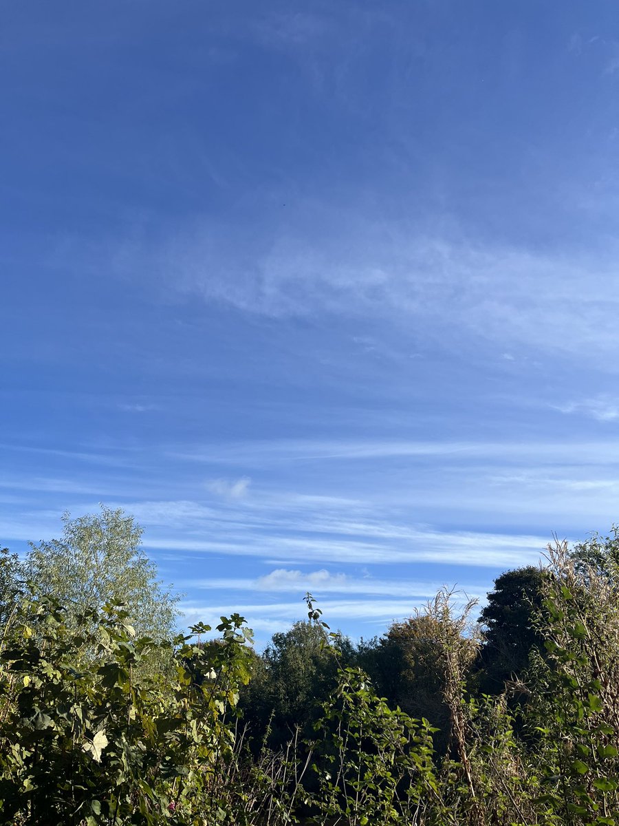 I’ve been bed-bound by mind and body for about a week. Today, I chose to leave my flat and get some sky above my head. Oh, what a simple elemental balm ⛅️