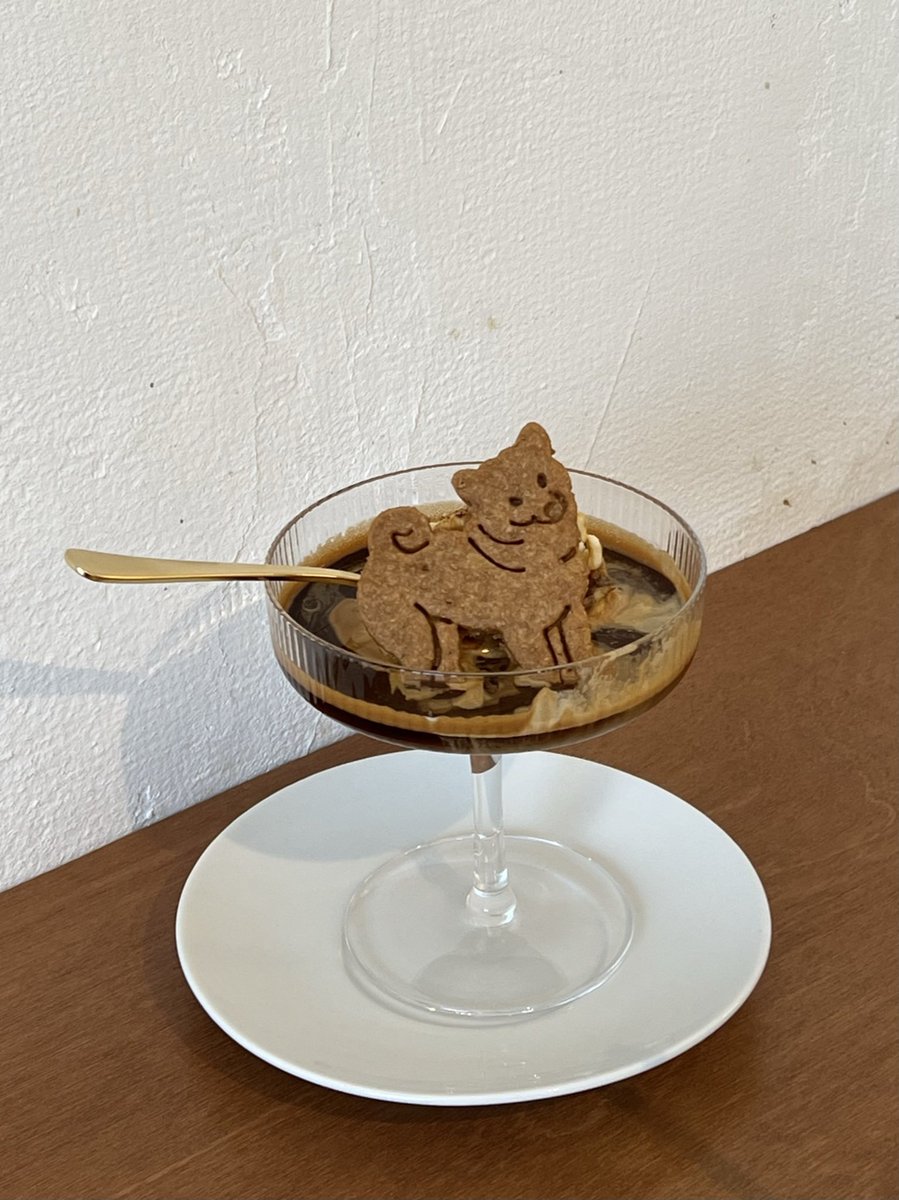 mvooiy's tweet photo. 全国のわんこを食べ尽くしたい https://t.co/MggKIsAJG0